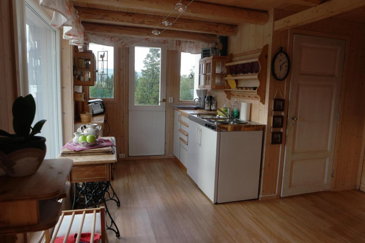 Apartament Vognbu Gran Nordre Snåsa Zewnętrze zdjęcie